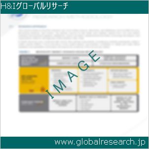 グローバルリサーチ調査レポートのイメージ